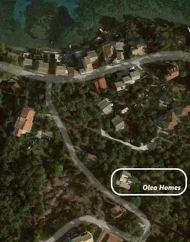 Olea Αγία Πελαγία Χλωμού