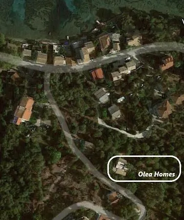 Olea Agia Pelagia Chlomou