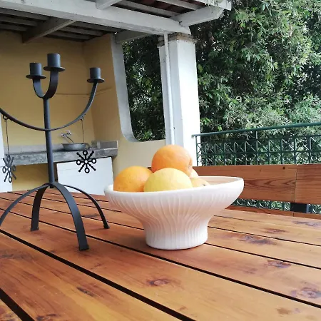 Olea Agia Pelagia Chlomou